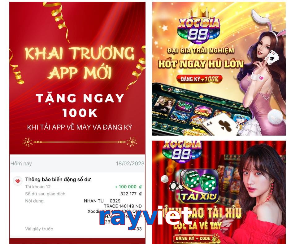 rayviet
